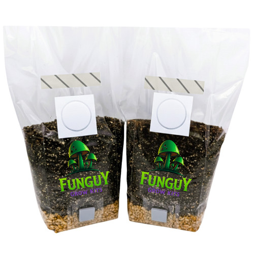 Pack all in one mushroom - -,