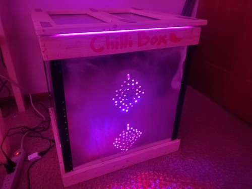 Indica hydroponic grow - hydroponic, kit