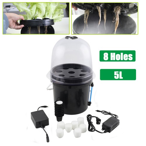 Hydroponics growing cloning - growing,